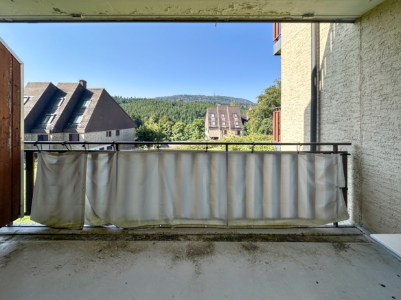 Beau rendement à Saint-Cergue